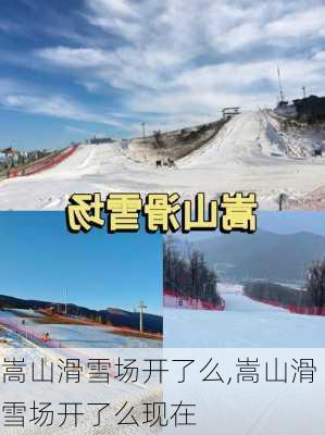 嵩山滑雪场开了么,嵩山滑雪场开了么现在