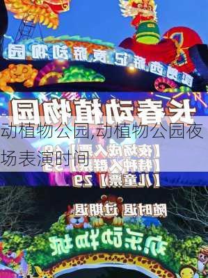 动植物公园,动植物公园夜场表演时间