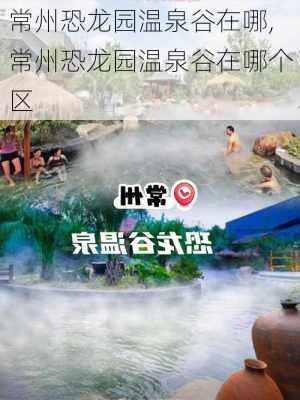 常州恐龙园温泉谷在哪,常州恐龙园温泉谷在哪个区