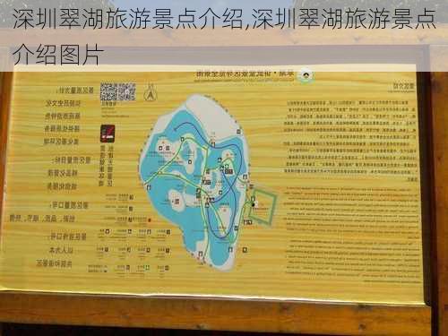 深圳翠湖旅游景点介绍,深圳翠湖旅游景点介绍图片