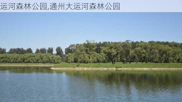 运河森林公园,通州大运河森林公园