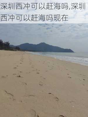 深圳西冲可以赶海吗,深圳西冲可以赶海吗现在