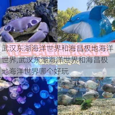 武汉东湖海洋世界和海昌极地海洋世界,武汉东湖海洋世界和海昌极地海洋世界哪个好玩