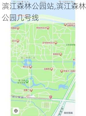 滨江森林公园站,滨江森林公园几号线