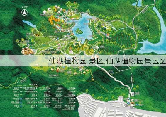 仙湖植物园 景区,仙湖植物园景区图