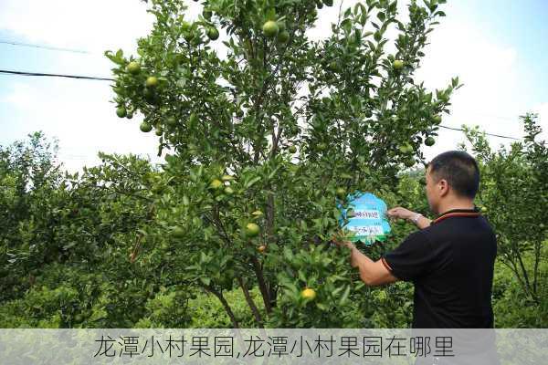 龙潭小村果园,龙潭小村果园在哪里