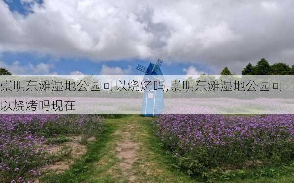 崇明东滩湿地公园可以烧烤吗,崇明东滩湿地公园可以烧烤吗现在