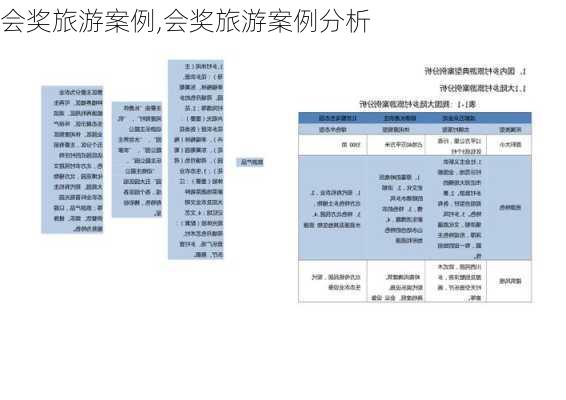 会奖旅游案例,会奖旅游案例分析