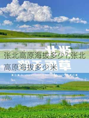 张北高原海拔多少?,张北高原海拔多少米