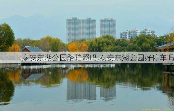 泰安东湖公园路拍照吗,泰安东湖公园好停车吗