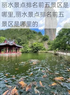 丽水景点排名前五景区是哪里,丽水景点排名前五景区是哪里的