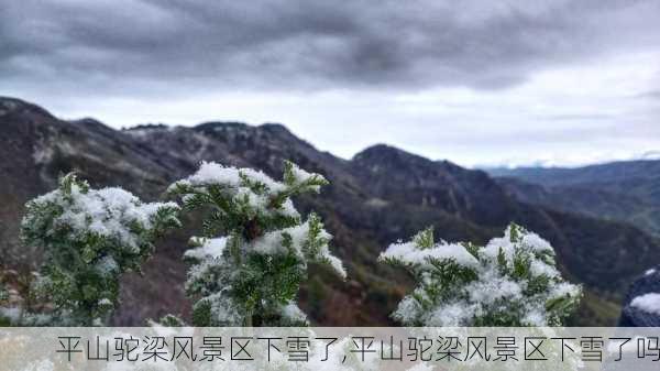 平山驼梁风景区下雪了,平山驼梁风景区下雪了吗