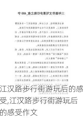 江汉路步行街游玩后的感受,江汉路步行街游玩后的感受作文