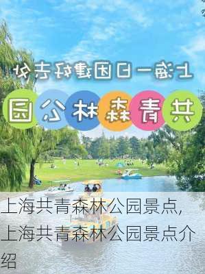 上海共青森林公园景点,上海共青森林公园景点介绍