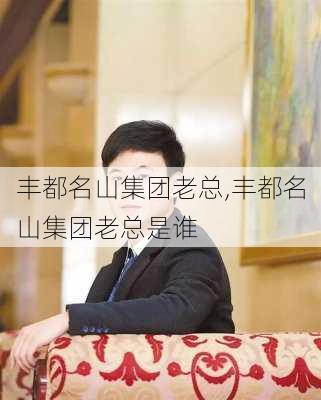 丰都名山集团老总,丰都名山集团老总是谁