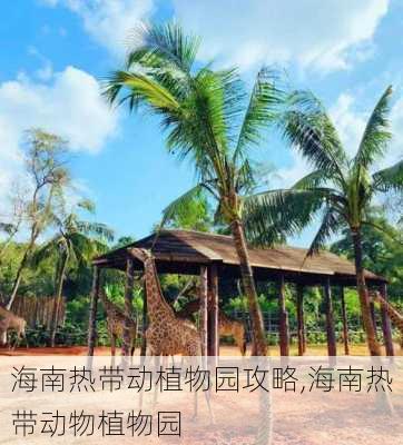 海南热带动植物园攻略,海南热带动物植物园