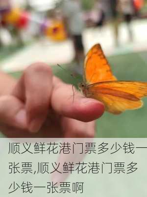 顺义鲜花港门票多少钱一张票,顺义鲜花港门票多少钱一张票啊