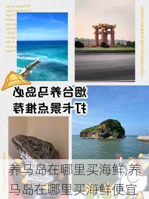 养马岛在哪里买海鲜,养马岛在哪里买海鲜便宜