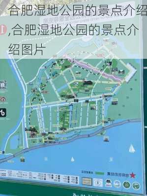 合肥湿地公园的景点介绍,合肥湿地公园的景点介绍图片