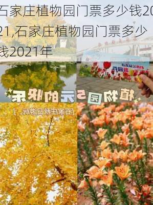 石家庄植物园门票多少钱2021,石家庄植物园门票多少钱2021年