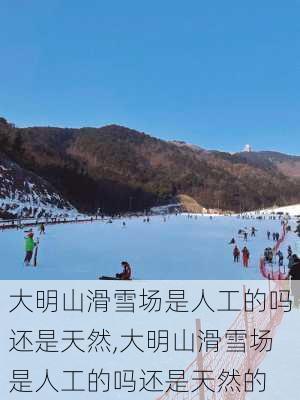 大明山滑雪场是人工的吗还是天然,大明山滑雪场是人工的吗还是天然的