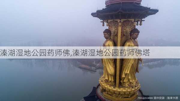 溱湖湿地公园药师佛,溱湖湿地公园药师佛塔