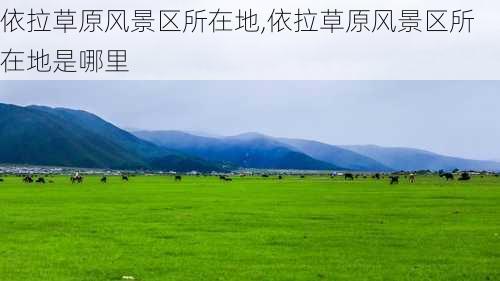 依拉草原风景区所在地,依拉草原风景区所在地是哪里