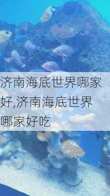 济南海底世界哪家好,济南海底世界哪家好吃