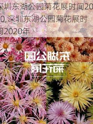 深圳东湖公园菊花展时间2020,深圳东湖公园菊花展时间2020年