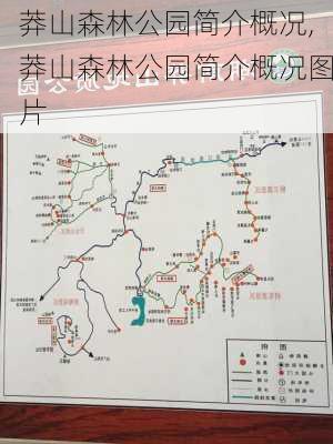 莽山森林公园简介概况,莽山森林公园简介概况图片