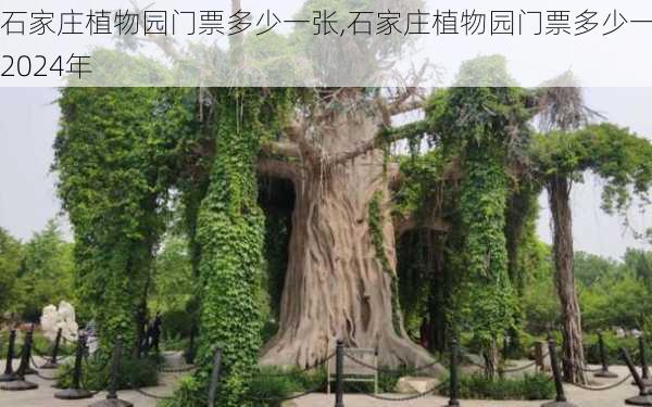 石家庄植物园门票多少一张,石家庄植物园门票多少一张2024年