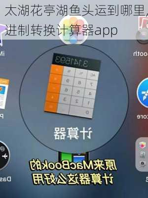 太湖花亭湖鱼头运到哪里,进制转换计算器app
