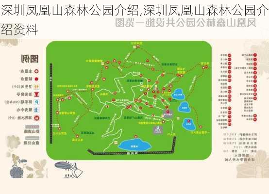 深圳凤凰山森林公园介绍,深圳凤凰山森林公园介绍资料