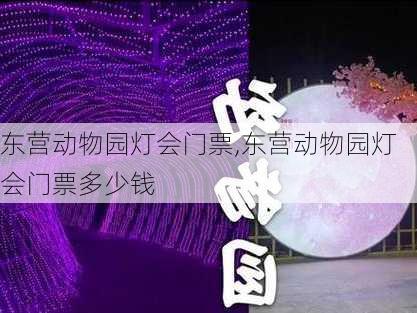 东营动物园灯会门票,东营动物园灯会门票多少钱