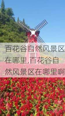 百花谷自然风景区在哪里,百花谷自然风景区在哪里啊