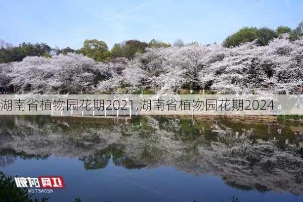 湖南省植物园花期2021,湖南省植物园花期2024