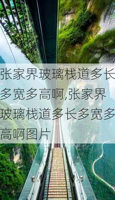 张家界玻璃栈道多长多宽多高啊,张家界玻璃栈道多长多宽多高啊图片