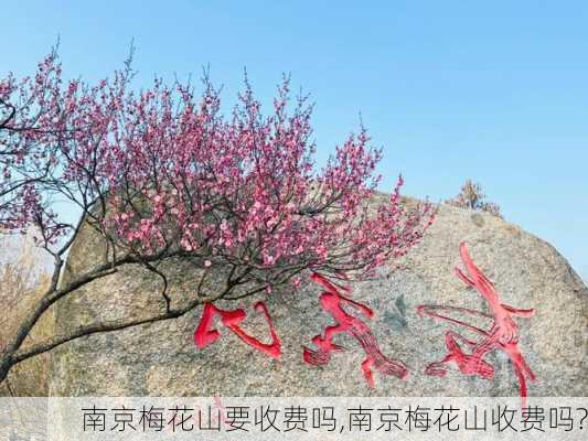 南京梅花山要收费吗,南京梅花山收费吗?