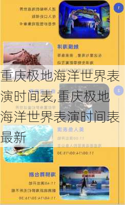 重庆极地海洋世界表演时间表,重庆极地海洋世界表演时间表最新