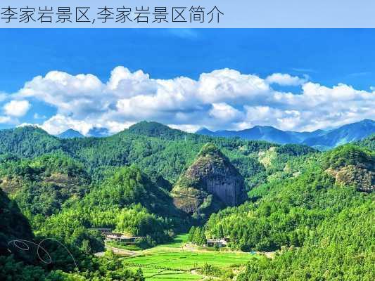 李家岩景区,李家岩景区简介