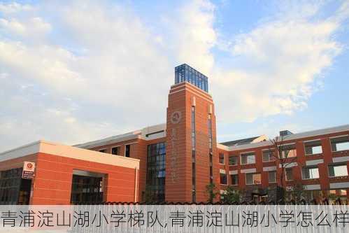 青浦淀山湖小学梯队,青浦淀山湖小学怎么样