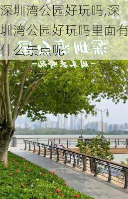 深圳湾公园好玩吗,深圳湾公园好玩吗里面有什么景点呢