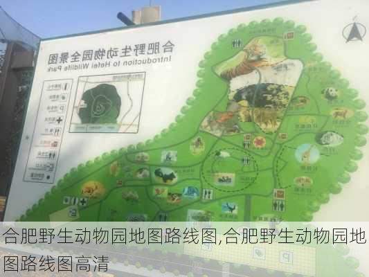 合肥野生动物园地图路线图,合肥野生动物园地图路线图高清