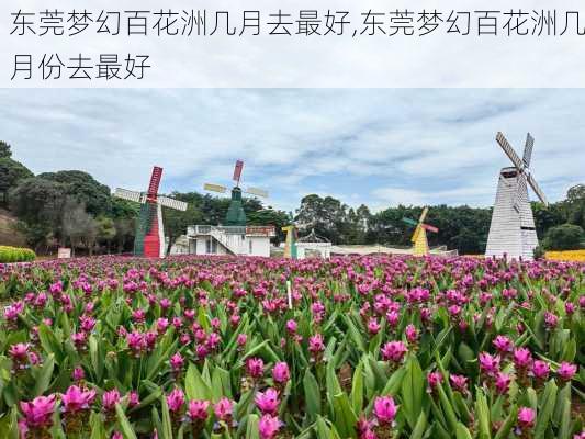 东莞梦幻百花洲几月去最好,东莞梦幻百花洲几月份去最好