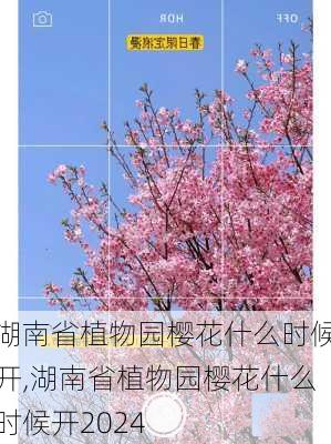 湖南省植物园樱花什么时候开,湖南省植物园樱花什么时候开2024