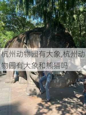 杭州动物园有大象,杭州动物园有大象和熊猫吗