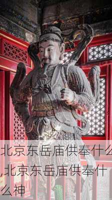 北京东岳庙供奉什么,北京东岳庙供奉什么神