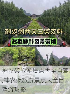 神农架旅游景点大全自驾,神农架旅游景点大全自驾游攻略