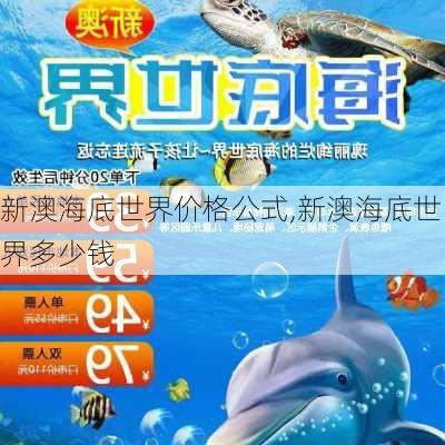 新澳海底世界价格公式,新澳海底世界多少钱