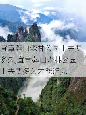 宜章莽山森林公园上去要多久,宜章莽山森林公园上去要多久才能逛完